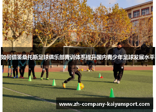 如何借鉴桑托斯足球俱乐部青训体系提升国内青少年足球发展水平