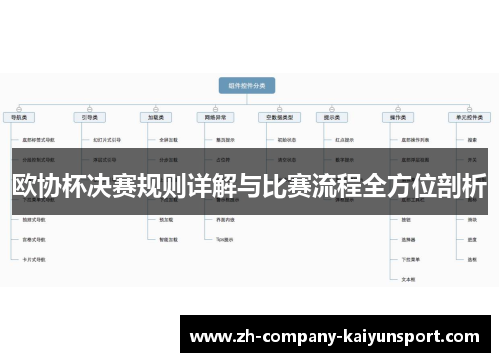 欧协杯决赛规则详解与比赛流程全方位剖析