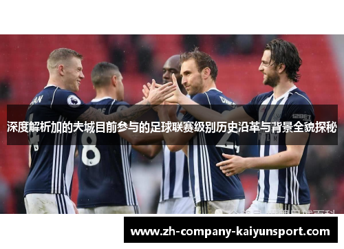 深度解析加的夫城目前参与的足球联赛级别历史沿革与背景全貌探秘 深度解析加的夫城目前参与的足球联赛级别历史沿革与背景全貌探秘